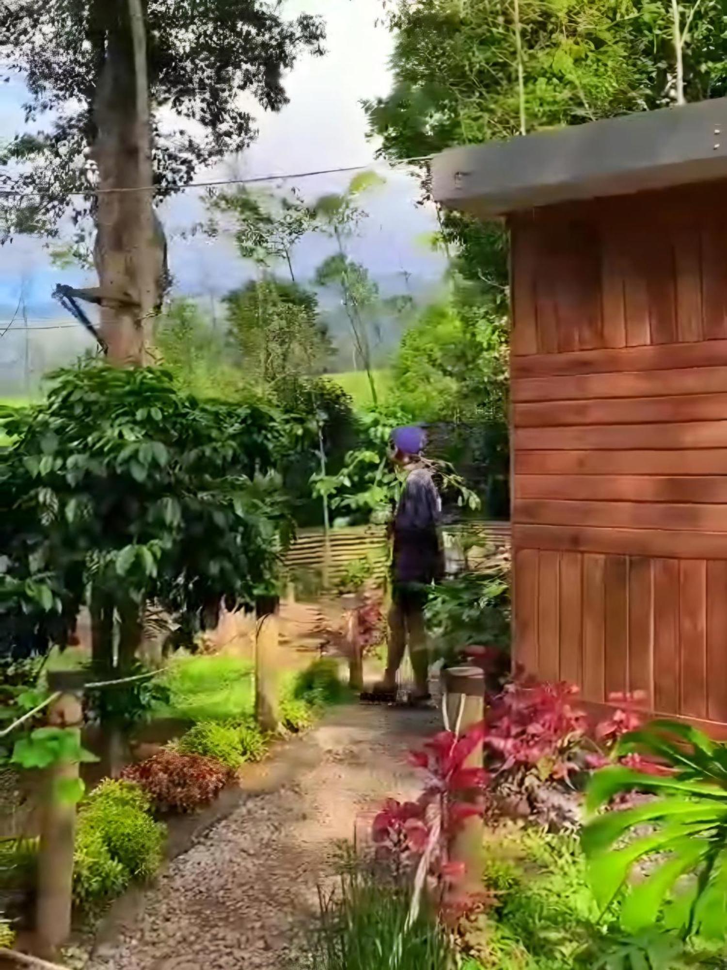 فندق Pangalenganفي  Penginapan Nuansa Riung Gunung المظهر الخارجي الصورة