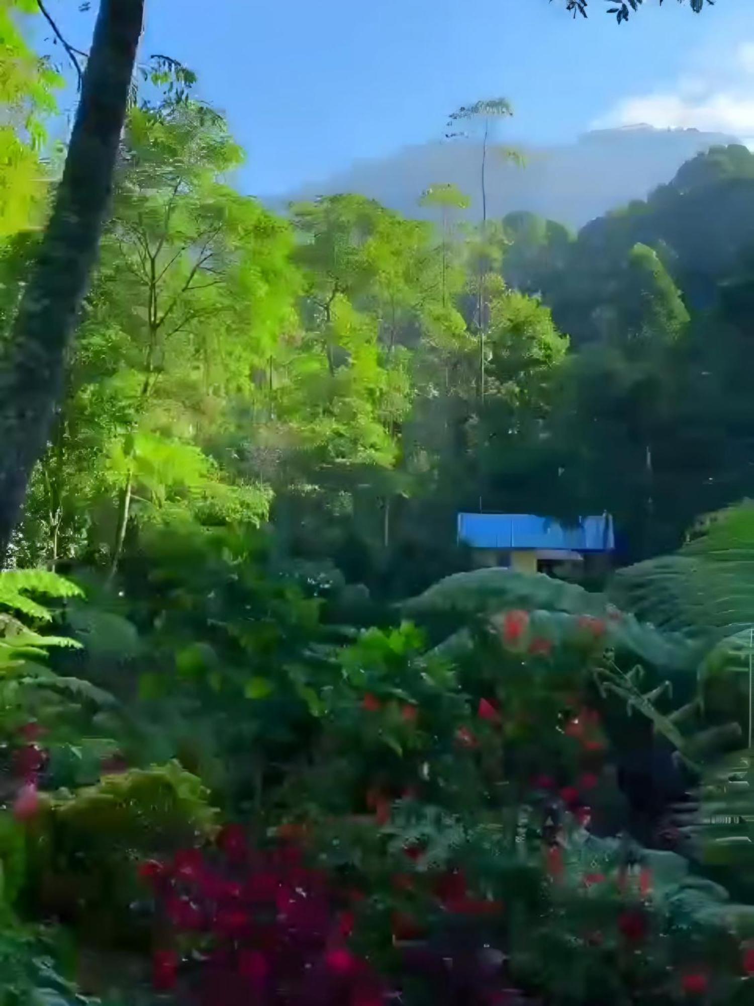 فندق Pangalenganفي  Penginapan Nuansa Riung Gunung المظهر الخارجي الصورة
